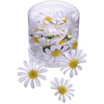 Creativ Tygblommor Textil - Marguerite Vit 25 st 40mm