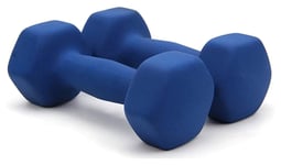 Shengluu Weights Dumbbells Sets Women Cast Iron Color Dumbbells Weight Set Home Exercise Barbell Set (Color : Blue, Size : 4kgx2)