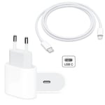 iPhone Snabbladdare - 20W PD Adapter + 1M Lightning Snabbkabel 20W Adapter + 1 Meter Kabel
