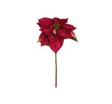 Julstjärna snittblomma röd OUTLET