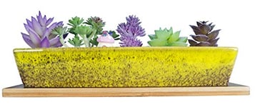 ARTKETTY Pots de fleurs en céramique de 25 cm pour plantes grasses succulentes, pots de fleurs rectangulaires modernes avec plateau, bac à fenêtre peu profond avec drainage pour décoration d'intérieur