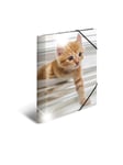 HERMA Elasticated folder glossy animals A4 PP cats