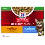 Healthy Cuisine Stew Våtfoder till Kattunge - 12 x 80g