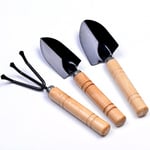 GREENLANS-1 3Pcs Mini Plant Garden Gardening Tools Set with Wooden Handle Rake Shovel