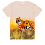 Molo GOTS Roxo T-skjorte Tiger Sand | Beige | 116 cm