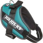 Julius-K9 IDC Sele Mini-Mini Petrol 40-53 cm
