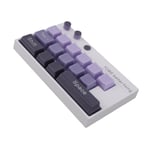 Purple Mechanical Keyboard Ornament Luminous Display With Number Sticker New