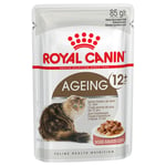 Royal Canin Ageing +12 i sås - 96 x 85 g