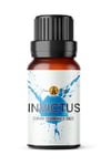 Pure Invictus Fragrance Oil 50ml - For Aromatherapy Wax Melt, Reed Diffuser, Candle Making, Home Made Soap, Bath Bomb, Potpourri, Slime, Oil Burner
