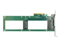 Delock - Lagringskontroller - 2,5" - U.2 Nvme - Pcie 4.0 X8