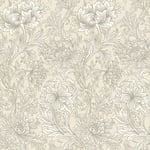 Chrysanthemum Toile Wheat - 217560