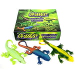 Box of 24 Stretchy Squishy Lizard Toys - Wholesale Fidget Stress Sensory Toys