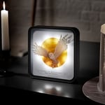 Numskull® Official Harry Potter Hedwig Perspex Lampe