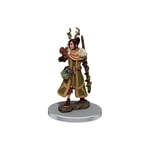 D&D Figur Icons Human Druid Female Icons of the Realm Premium Figures