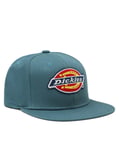 Dickies Muldoon 5 Panel Keps (Lincoln Green, One Size) Size Lincoln Green