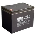 Fiamm FG28009  12V - 80Ah