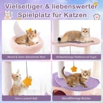 Skrapstolpe kattträd med kattgrotta & hängmatta & leksak lila + rosa 59 x 49 x 140 cm