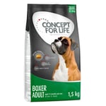 Concept for Life Boxer Adult - 6 kg