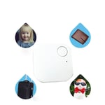 Mini Smart Tag Finder Bluetooth Tracer enfant pour animal domestique GPS Locator Alarme Portefeuille Clé tracker blanc
