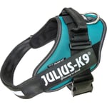 Julius-K9 IDC Sele Strl. 1 Petrol 66-85 cm