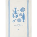 Lexington Kjøkkenhåndkle 50x70 cm, Blå/Hvit Organisk bomull