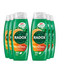 Radox Womens Shower Gel Feel Refreshed With Eucalyptus & Citrus Scent 450 ml, 6 Pack - NA - One Size