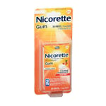 Nicorette Nicotine Polacrilex Gum Fruit Chill 20 Each