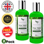 Anti-Dandruff Shampoo Treatment With Tea Tree Oil Prevents Dandruff - 2 Pack