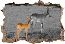 pixxp Rint 3D WD s4320 _ 62 x 42 Magnifique Gazelle avec Petit Jeune Animal percée 3D Sticker Mural Mural en Vinyle Noir/Blanc 62 x 42 x 0,02 cm