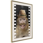 Plakat - Monkey In Hat - 20 x 30 cm - Guldramme med passepartout
