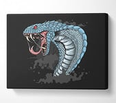 Scary Cobra Teeth Canvas Print Wall Art - Medium 20 x 32 Inches