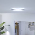 WiZ SuperSlim -LED-kattovalaisin CCT Ø24 cm