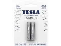 Tesla Tesla Alkaliskt Batteri R3 (Aaa) Silver+ [2X120] 2 St