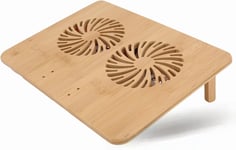Lbgwp60 Support Pour Ordinateur Portable,2 Pc Ventilateur De Table De Refroidissement Angle Réglable Tour Coussin Thermique Ergonomique Bureau Support De Refroidissement Coussin De Refroidissement Po