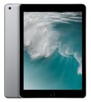 BEGAGNAD iPad Gen 5 Space Gray 128 - Good condition