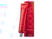 Schwarzkopf Schwarzkopf Professional, Igora Royal, Permanent Hair Dye, 1-1 Blue Black, 60 Ml For Women