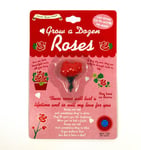 Diabolical Gifts DP0370 Grow a Dozen Roses