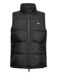 Waldenburg Vest Black Dickies