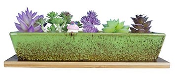 Pots de Plantes succulentes rectangulaires en céramique de 9,8 Pouces de Long avec Drainage, Petit Pot de Cactus à Fleurs avec Plateau Bonsai Plant Window Box pour intérieur/extérieur