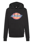 Dickies Icon Logo Hooded Sweatshirt - Black Colour: Black, Size: X Large
