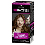 Schwarzkopf - Kit Racines - Coloration Racines Cheveux Permanente - Enrichie d’une huile nourrissante - Couverture Cheveux Blancs - Retouche entre 2 Colorations - Châtain Doré R2, 1 Unité (Lot de 1)