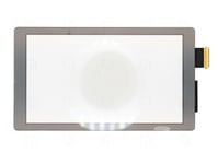 OEM Grey touch Screen lens for Nintendo Switch Lite screen digitizer/digitiser