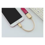 Adaptateur Type C/USB pour NINTENDO Switch Smartphone & MAC USB-C Clef Connecteur - OR
