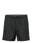 Bowman Volley Shorts Sport Shorts Black Sail Racing