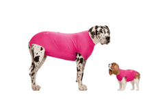 Recovery Suit Pink Tik/Katt Nr 6 - Hund - Hundepleie & kosttilskudd - Sårkrager & hundekrager - VetHelp