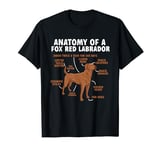 Anatomy Of A Fox Red Labrador Retriever Foxred Lab T-Shirt
