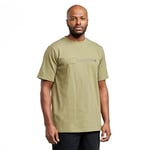Berghaus Men's Organic Big Colour Logo T-Shirt, Aloe, S