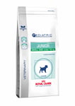 Royal Canin Canine Pediatric Small Breed Junior Vet Diet Dry Dog Food - 800g