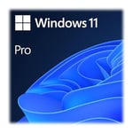 Ernitec Windows 11 Pro OEM Marque