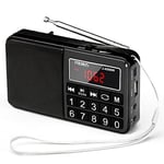 PRUNUS J-429SW Portable Radios Small AM/FM/SW, Rechargeable Radio